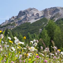 dolomiten